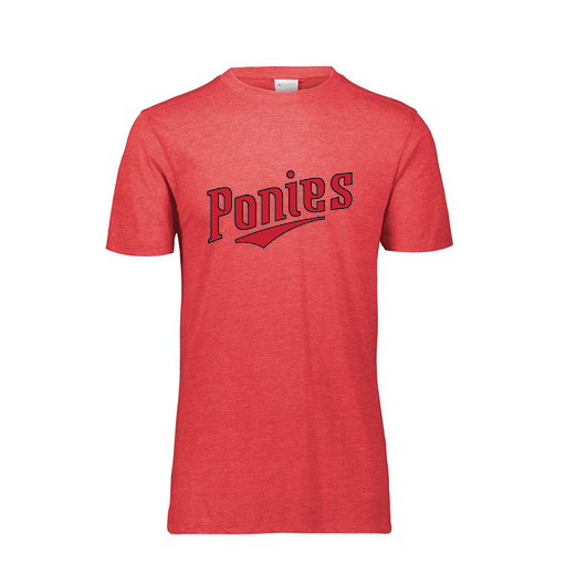 [FTSCUBRD-AS-LOGO2] Decker Men's Tri-Blend T-Shirt - Short Sleeve (Adult S, Red, Logo 2)