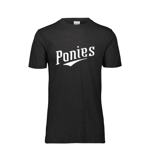 [FTSCUBBK-YS-LOGO1] Decker Youth Tri-Blend T-Shirt - Short Sleeve (Youth S, Black, Logo 1)