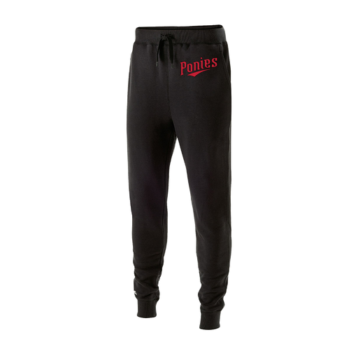 [229548.080.XS-LOGO2] Men's 60/40 Fleece Jogger (Adult XS, Logo 2)